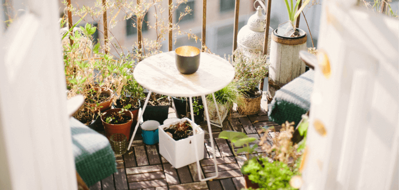 Obst Und Gemuseanbau Deinschrank De Blog