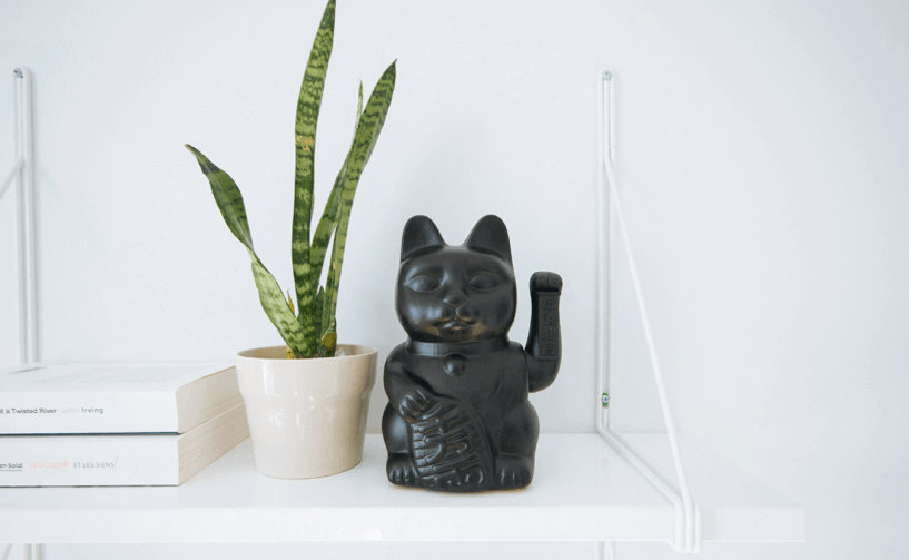 feng-shui-winkekatze-auf-regal-mitpflanze