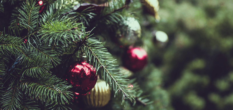 Weihnachtsbaum in Deutschland