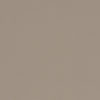 Steingrau